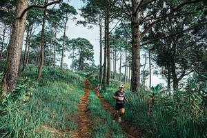 BIB: 
                            <button type="button" onclick="openModal(25652405)" class="btn btn-primary btn-sm float-right btn-popup" data-toggle="modal" data-target=".modal-high-quality">
                        <i class="fas fa-shopping-cart"></i> Add to Cart
                    </button>
                                            <button type="button" onclick="isThisMe(25652405, true)" class="btn btn-success btn-sm float-right btn-popup btn-isme hidden" data-toggle="tooltip" data-placement="bottom" title="นี่คือรูปของคุณใช่ไหม คลิกที่นี่เพื่อเอาเข้าอัลบั้ม">
                        <i class="fas fa-plus"></i> Add to album
                    </button>
                    <button type="button" onclick="isThisMe(25652405, false)" class="btn btn-warning btn-sm float-right btn-popup btn-isnotme hidden">
                        <i class="fas fa-ban"></i> Remove from album
                    </button>